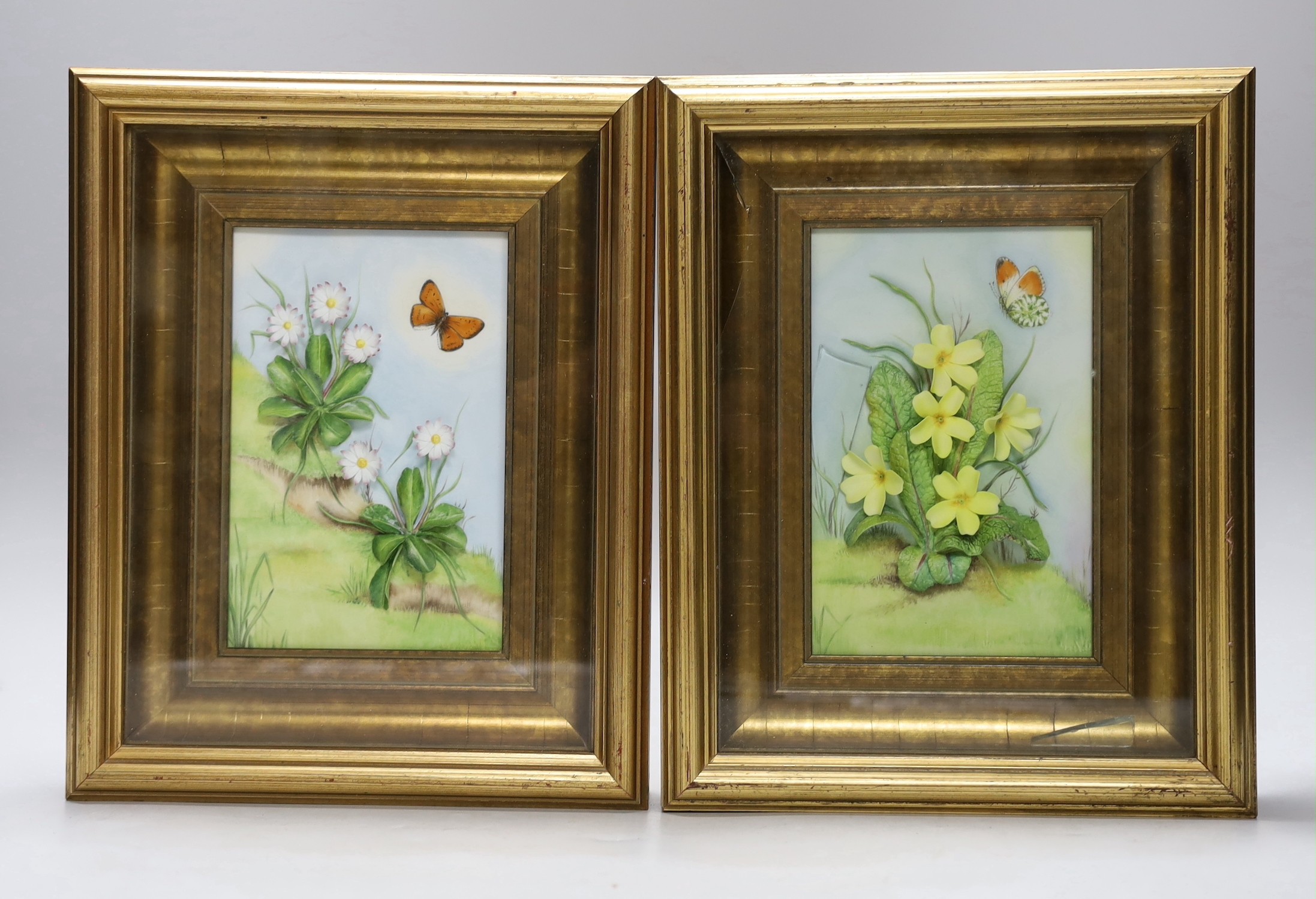 A pair of framed Connoisseur of Malvern, ‘Shakespeare’s Flower Daisies’, bone china plaques, 7cms wide, 11cms high